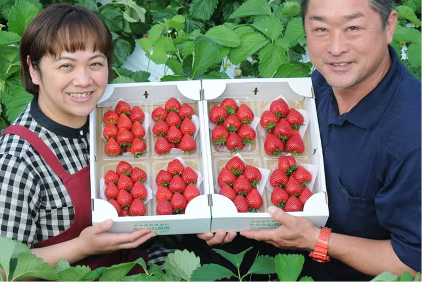 ただかね農園の画像